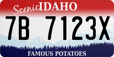 ID license plate 7B7123X