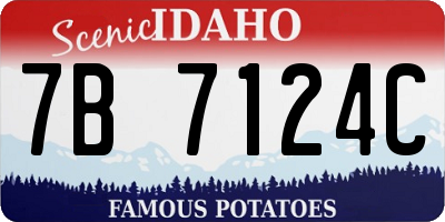 ID license plate 7B7124C