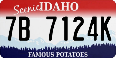 ID license plate 7B7124K