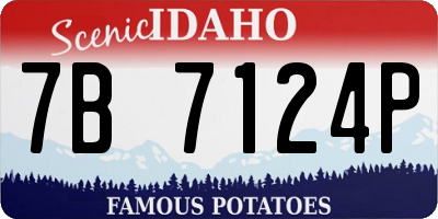 ID license plate 7B7124P