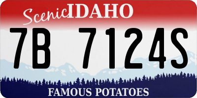 ID license plate 7B7124S