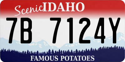 ID license plate 7B7124Y