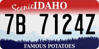 ID license plate 7B7124Z
