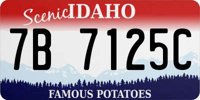 ID license plate 7B7125C