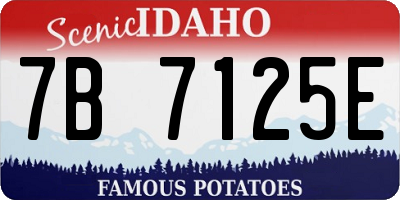 ID license plate 7B7125E