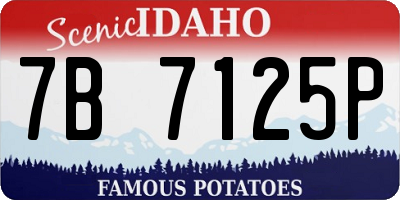 ID license plate 7B7125P