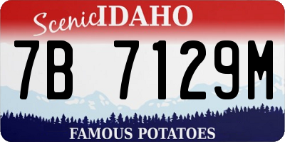 ID license plate 7B7129M