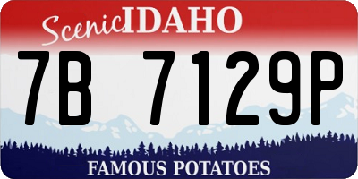 ID license plate 7B7129P