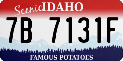 ID license plate 7B7131F