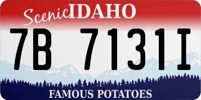 ID license plate 7B7131I