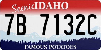 ID license plate 7B7132C