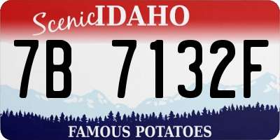 ID license plate 7B7132F