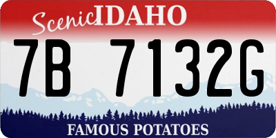 ID license plate 7B7132G