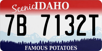 ID license plate 7B7132T