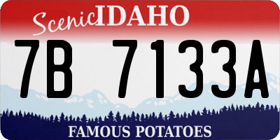 ID license plate 7B7133A