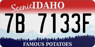ID license plate 7B7133F