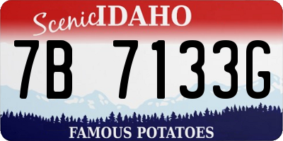ID license plate 7B7133G