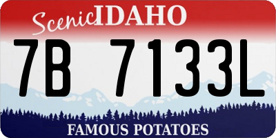 ID license plate 7B7133L