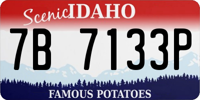 ID license plate 7B7133P