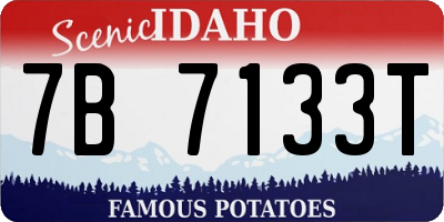 ID license plate 7B7133T