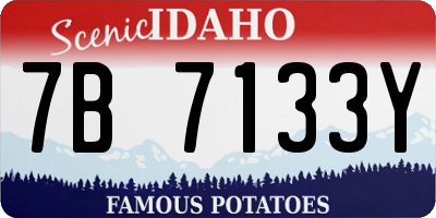 ID license plate 7B7133Y