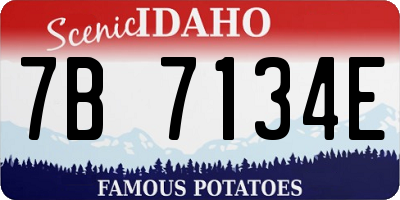 ID license plate 7B7134E