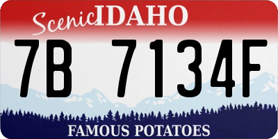 ID license plate 7B7134F