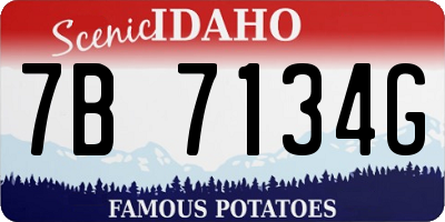 ID license plate 7B7134G