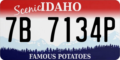 ID license plate 7B7134P