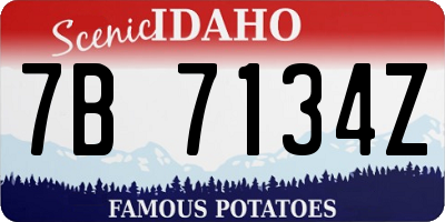 ID license plate 7B7134Z