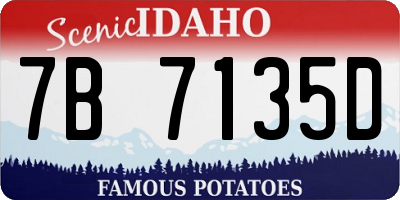 ID license plate 7B7135D
