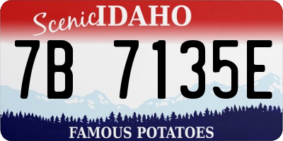 ID license plate 7B7135E