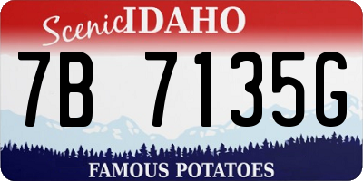 ID license plate 7B7135G