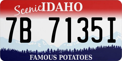 ID license plate 7B7135I