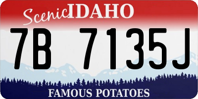 ID license plate 7B7135J