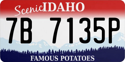 ID license plate 7B7135P