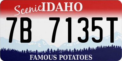 ID license plate 7B7135T