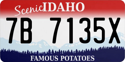 ID license plate 7B7135X