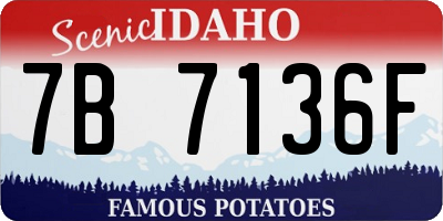 ID license plate 7B7136F