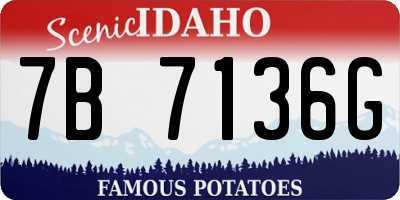 ID license plate 7B7136G