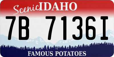 ID license plate 7B7136I