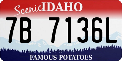 ID license plate 7B7136L