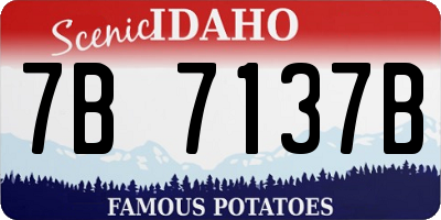 ID license plate 7B7137B