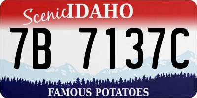 ID license plate 7B7137C