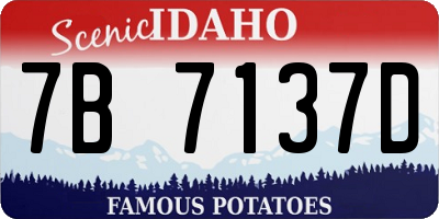 ID license plate 7B7137D