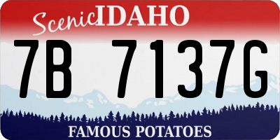 ID license plate 7B7137G