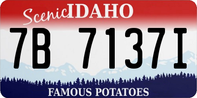 ID license plate 7B7137I
