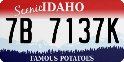 ID license plate 7B7137K