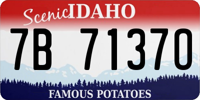 ID license plate 7B7137O