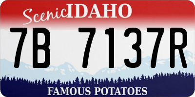 ID license plate 7B7137R
